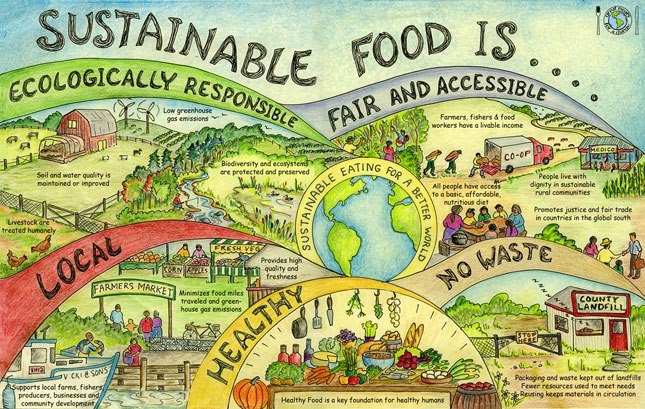 Image result for local food system